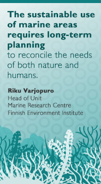 Riku Varjopuro, Head of Unit at the Marine Research Centre: The sustainable use of marine areas requires long-term planning to reconcile the needs of both nature and humans.